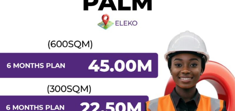 Peak Palm
