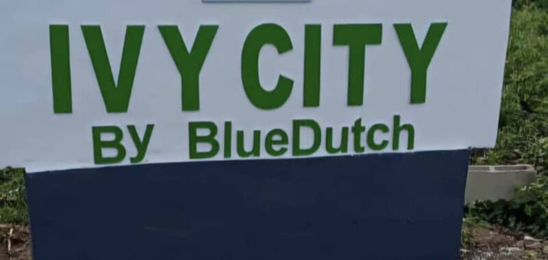 IVY CITY By BlueDutch
